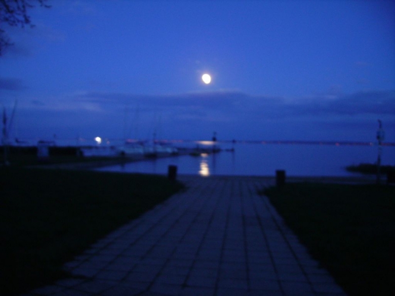 PICT0060