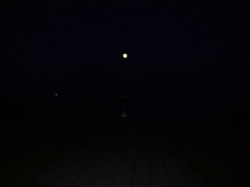 PICT0061