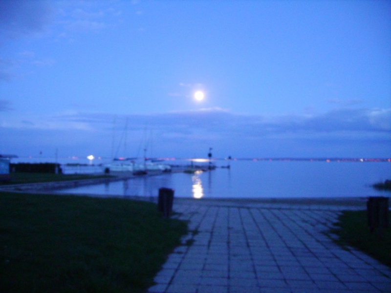 PICT0062