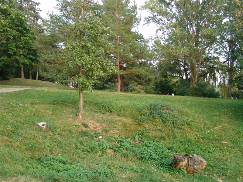 DSC04963