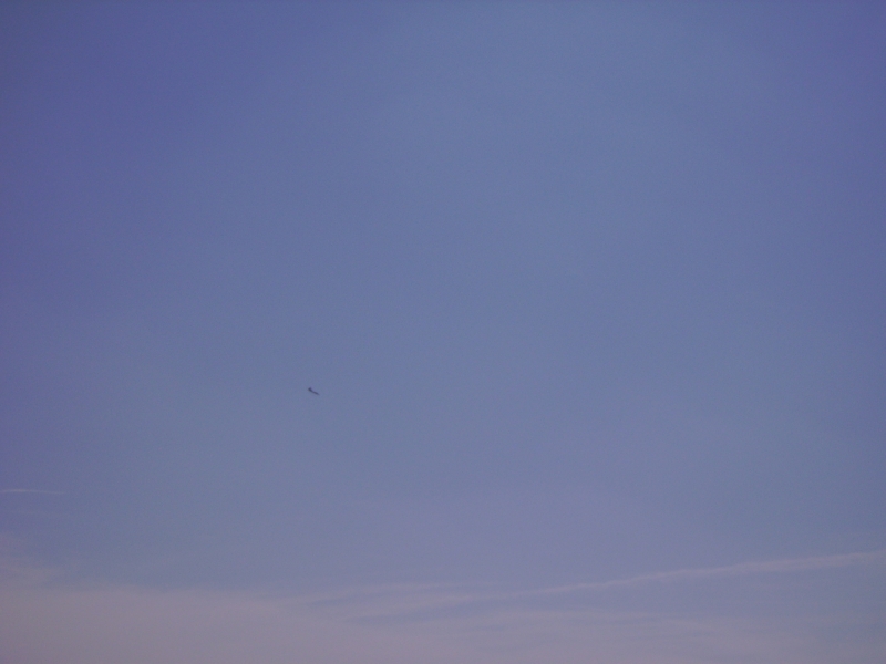 PICT0047